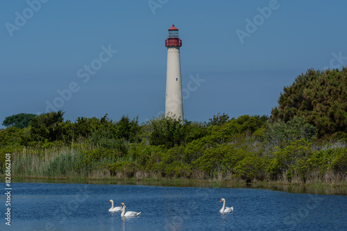 Cape May Point State Park Lighthouse