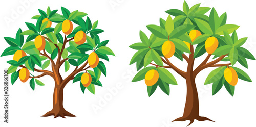 mango tree illustration Vector file 