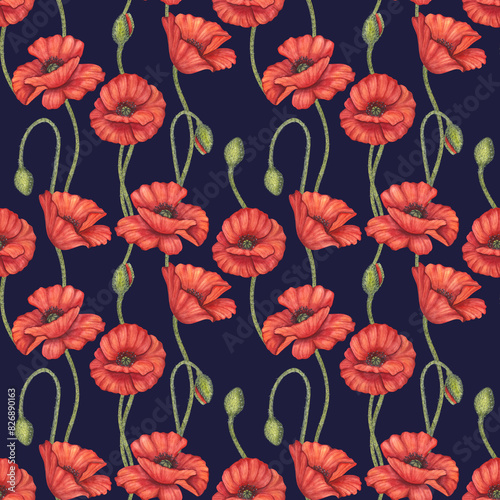 Red poppy flowers seamless pattern. Meadow wild blossom  field blooming. Memorial Day in USA  Anzac Day in Australia. Remember and honor. Hand drawn watercolor illustration dark background.