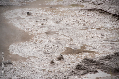 Mudpools in Te Puia - Rotorua - New Zealand photo