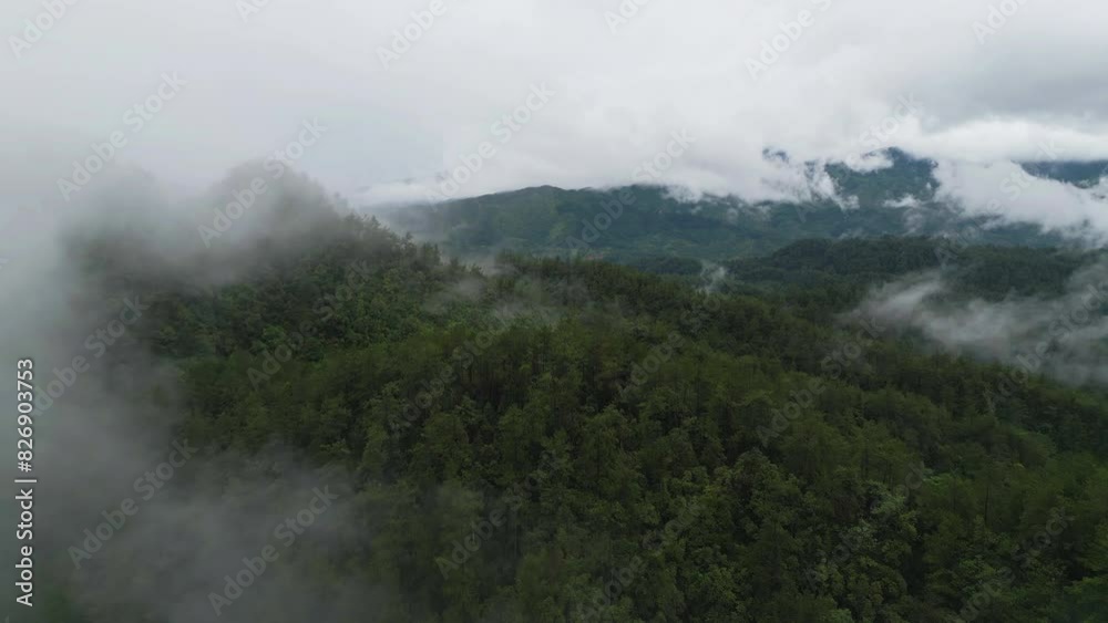 Aerial view of cars driving on curved, zigzag curve road or street on mountain hill with green natural forest trees in rural area of Nan, Thailand. Transportation. Aerial view of cars driving on curved, zigzag curve road or street on mountain hill with green natural forest trees in rural area of Nan, Thailand. Transportation.