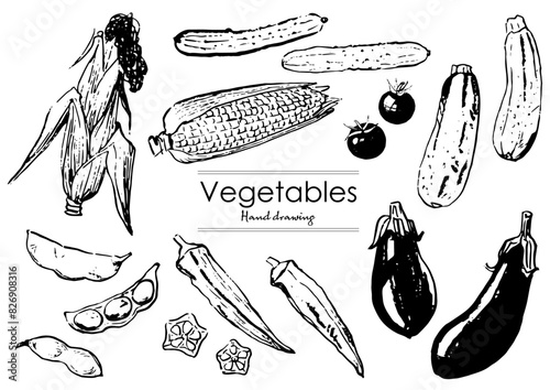 Vegetable