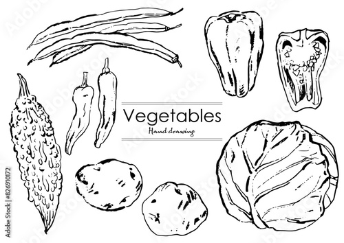Vegetable2
