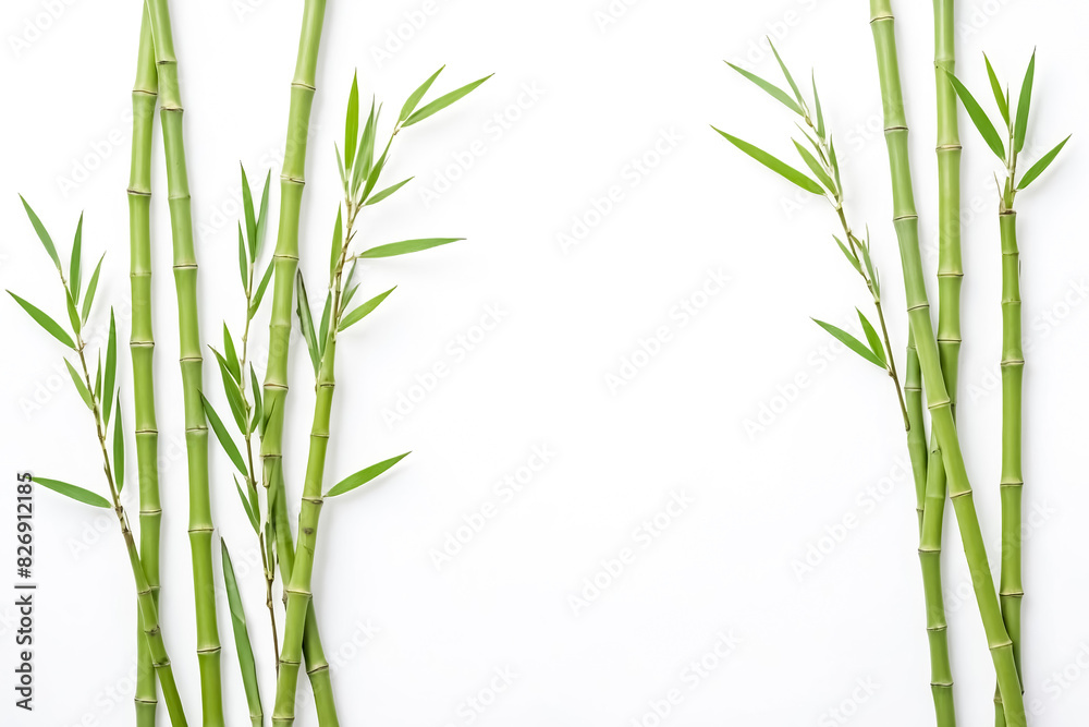 Obraz premium Green Bamboo Shoots on White Background