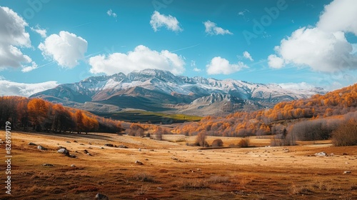 landscape forest with mountains and fog. grass field wallpaper. landscape forest with fog wallpaper. landscape mountains with fog wallpaper. forest with fog background. Fantasy landscape forest.