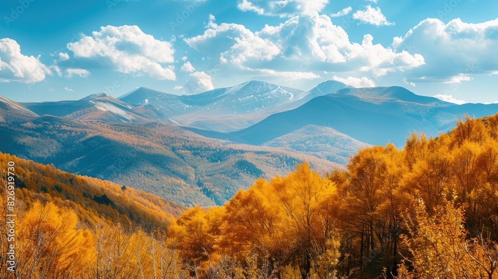 landscape forest with mountains and fog. grass field wallpaper. landscape forest with fog wallpaper. landscape mountains with fog wallpaper. forest with fog background. Fantasy landscape forest. landscape forest with mountains and fog. grass field wallpaper. landscape forest with fog wallpaper. landscape mountains with fog wallpaper. forest with fog background. Fantasy landscape forest.
