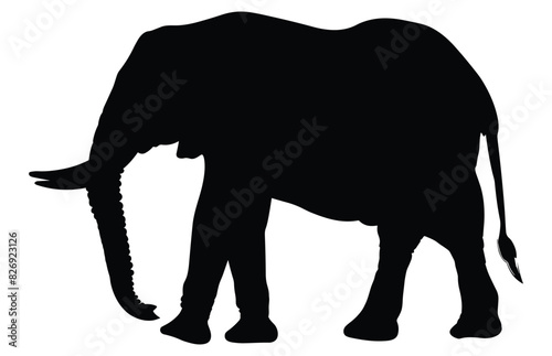 African Elephant Animal silhouette  Wild African Elephant Silhouette 
