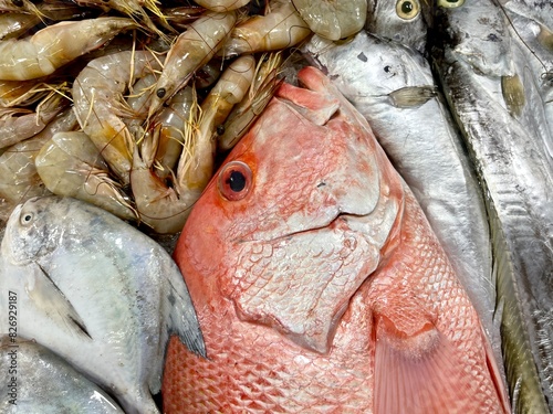 Raw fishes in fish market stall table display isolated on horizontal ratio background. Red snapper fish or ikan kakap merah, fresh prawn shrimps. photo