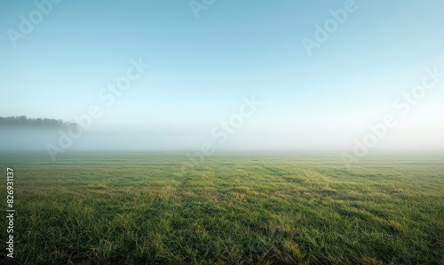 Craft a minimalist nature background where a thin veil of white fog hovers low over a grassy field , Generate AI