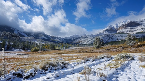 A snow covered mountain meadow