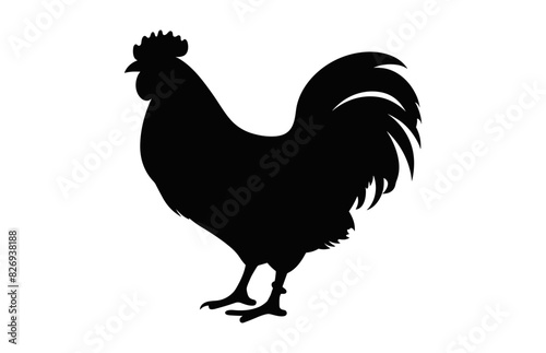 Chicken Standing Silhouette Vector, A Hen black Clipart isolated on a white background
