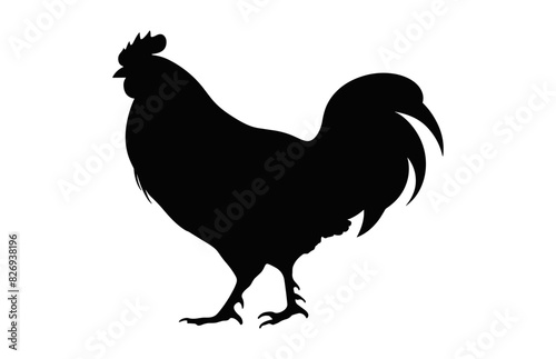 Chicken Standing Silhouette Vector, A Hen black Clipart isolated on a white background