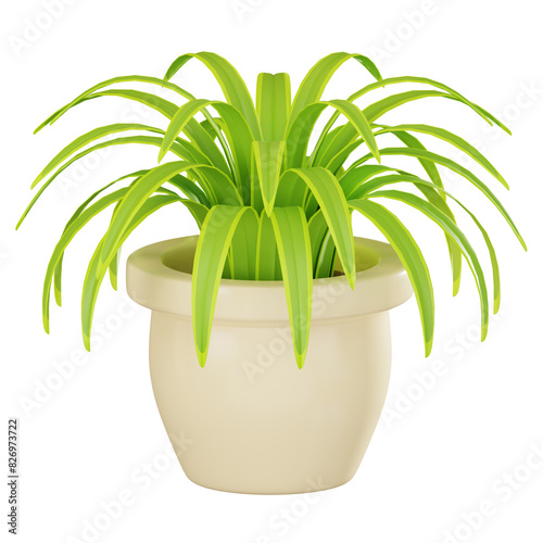 Green Elegance of Stylish Spider Plant Pot for Interior Decor. 3D Render .