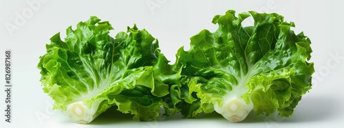 Two fresh lettuce heads on a white background