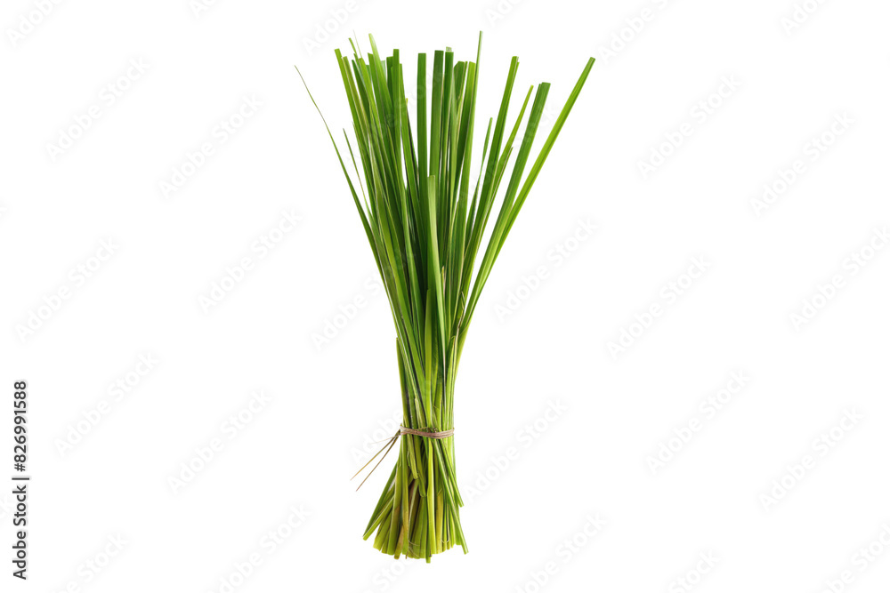 Lemongrass isolated on white background Lemongrass isolated on white background