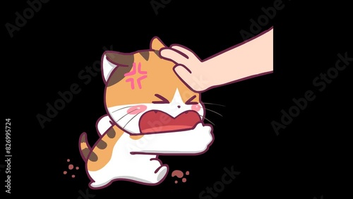 Animated angry orange cat being grabbed by the head - Transparent Background