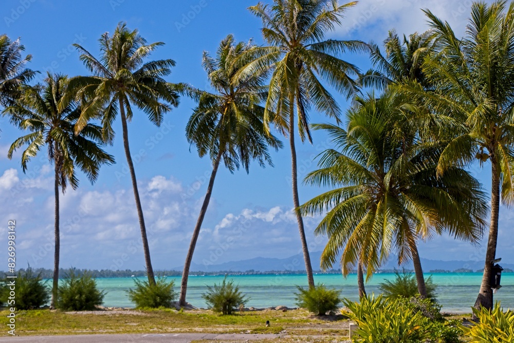 Arriving into Bora Bora, whose airport sits isolated on a small islet on the edge of the lagoon Arriving into Bora Bora, whose airport sits isolated on a small islet on the edge of the lagoon