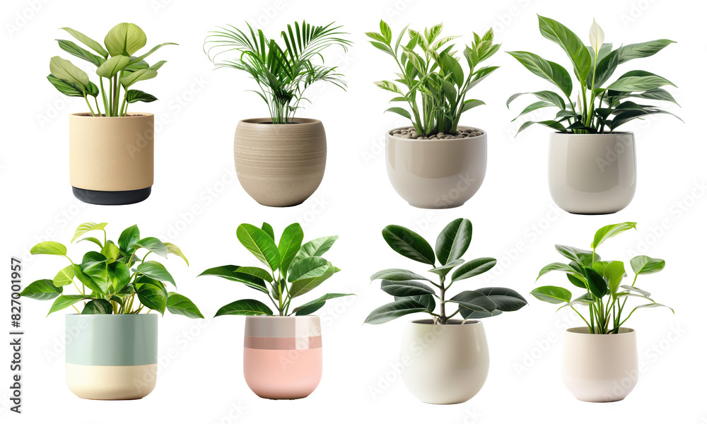 Fototapeta premium collection of potted indoor green plant on transparent background