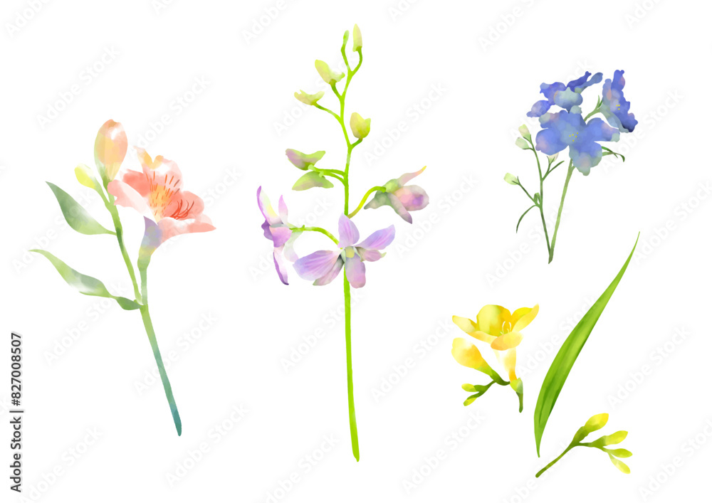 水彩の春の花セット　
