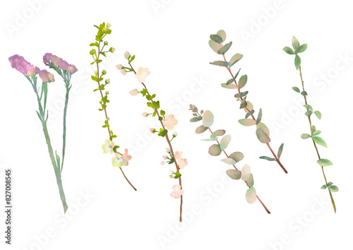 水彩のフレッシュグリーンの小枝セット