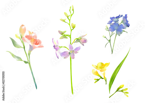 Fototapeta Naklejka Na Ścianę i Meble -  watercolor coloful flowers in spring time