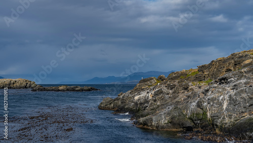 Seabirds- petrels, cormorants are settled on the slope of a rocky island in the ocean. The waves are foaming at the cliffs. Algae on the surface of blue water. Mountains against the sky and clouds. 