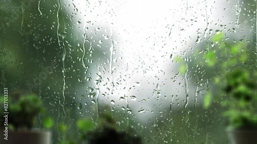 ガラス越しの雨のループ素材 photo