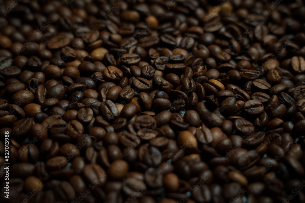 Colorful background with coffee beans in close-up Colorful background with coffee beans in close-up