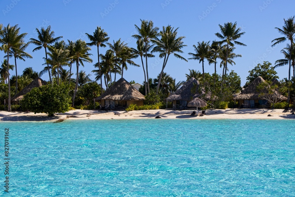 Obraz premium Overwater bungalows of the Intercontinental Le Moana sit over crystal clear, warm, pastel-colored waters of Bora Bora