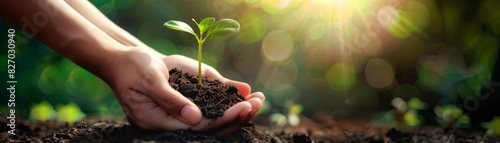Hands nurturing a young plant in soil with sunlight in the background, symbolizing growth, care, and environmental sustainability.