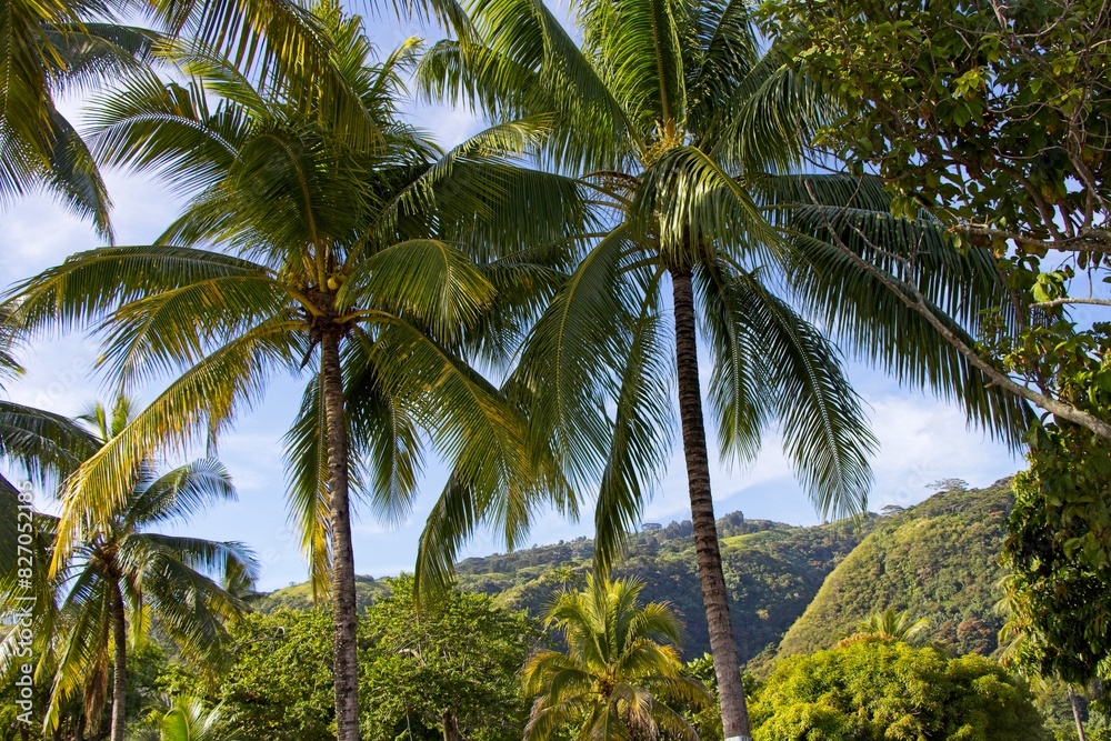 Spending a day at Vaiava beach on the island of Tahiti Spending a day at Vaiava beach on the island of Tahiti