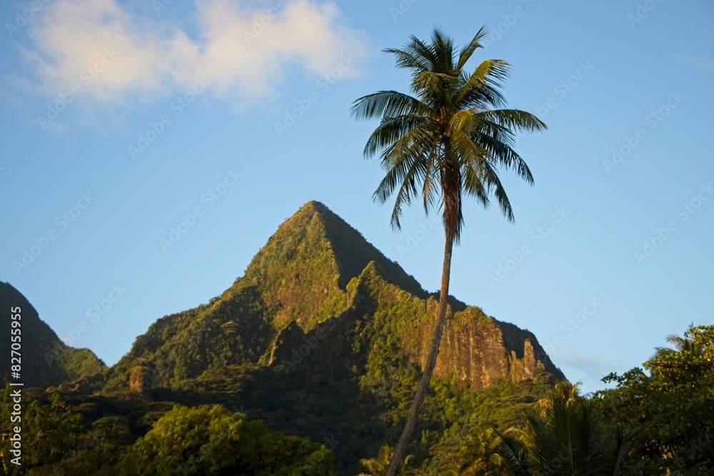Volcanic peaks rise over the beaches of Mo'orea, French Polynesia Volcanic peaks rise over the beaches of Mo'orea, French Polynesia