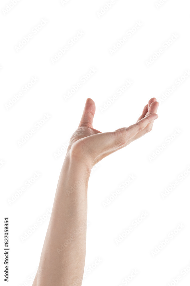 Adult man left hand to hold something isolated on white Adult man left hand to hold something isolated on white