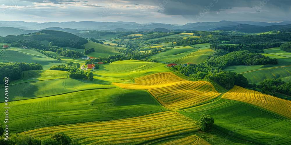Fototapeta premium Rolling green hills under a bright blue sky with fluffy clouds and golden sunlight, creating a serene and picturesque rural landscape that stretches into the horizon. 