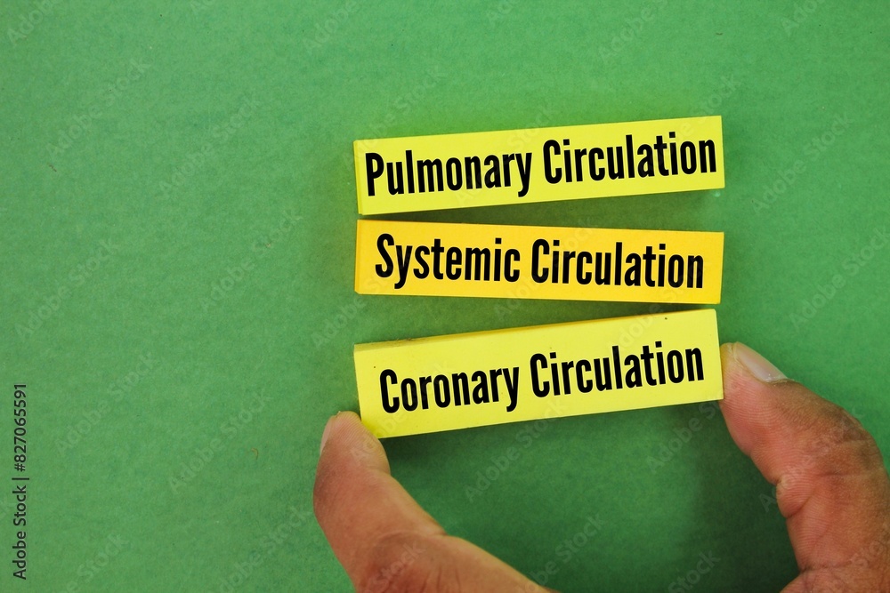 There are three different types of circulation that occur regularly in ...