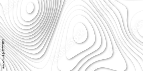 Abstract luxury white modern 3d papercut, topography map circle and wave line smooth multilayer pattern.  topographic canyon geometric map relief texture with curved layers and shadow.