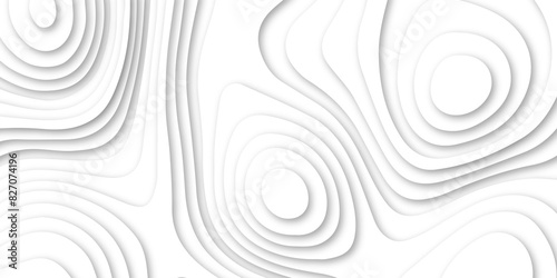 Abstract luxury white modern 3d papercut, topography map circle and wave line smooth multilayer pattern.  topographic canyon geometric map relief texture with curved layers and shadow.