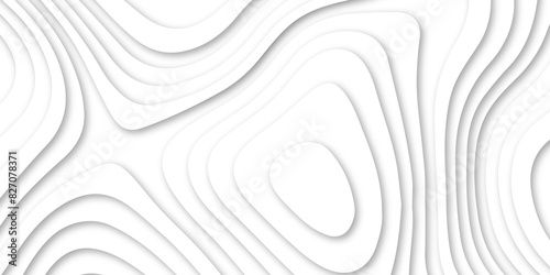 Abstract luxury white modern 3d papercut, topography map circle and wave line smooth multilayer pattern.  topographic canyon geometric map relief texture with curved layers and shadow.