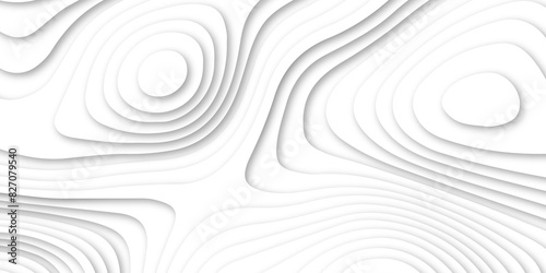 Abstract luxury white modern 3d papercut, topography map circle and wave line smooth multilayer pattern.  topographic canyon geometric map relief texture with curved layers and shadow.