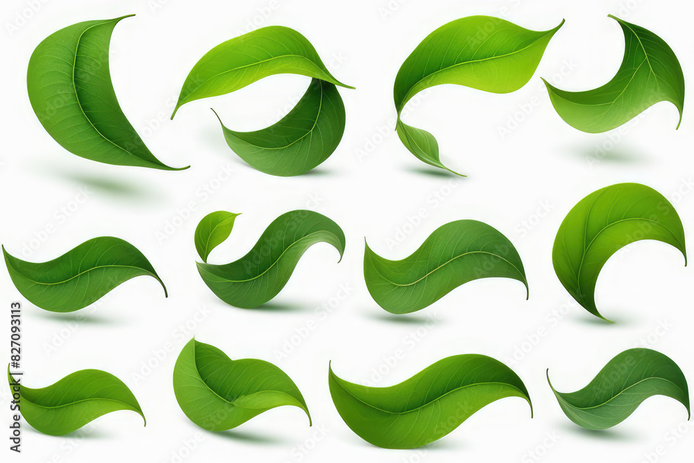 Flying green leaves. Set of waves formed by green leaves Flying green leaves. Set of waves formed by green leaves