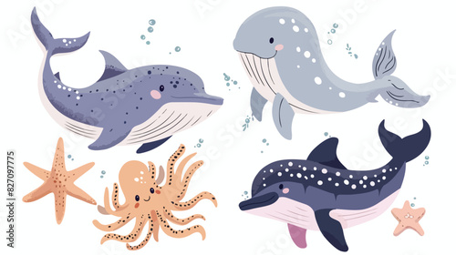 Four of sea animals  squid sperm whale shark dolphin