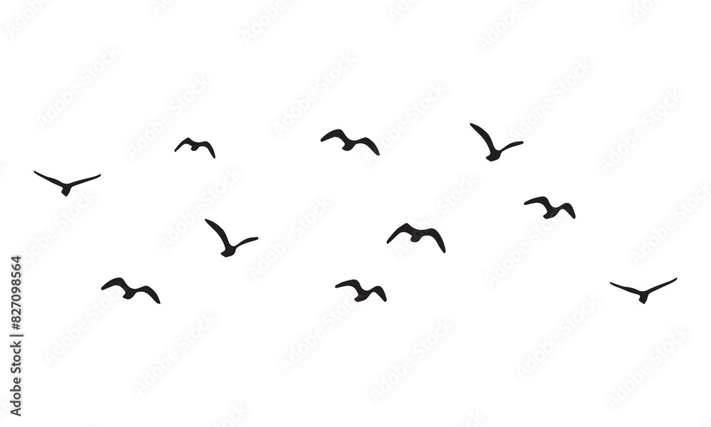 Flying Birds Vector And Illustration. Flying Birds Vector And Illustration.