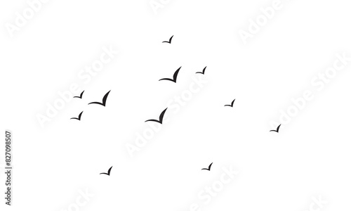 Flying Birds Vector And Illustration. 