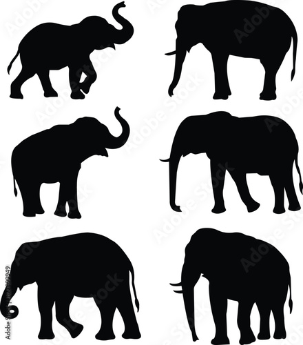 elephant wild animal icon set vector, sign, symbol, logo, editable stroke, flat design style collection isolated on transparent background. elephant silhouette different side view use for web and app.