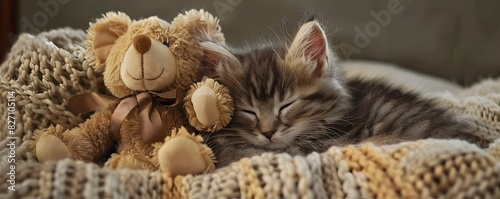 Cozy Kitten Snuggling with ...