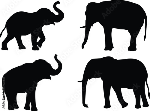 elephant wild animal icon set vector  sign  symbol  logo  editable stroke  flat design style collection isolated on transparent background. elephant silhouette different side view use for web and app.