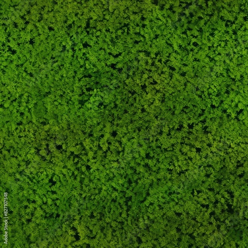Top view of green moss scattered on white background, isolated, seamless pattern