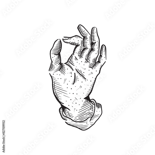 Vintage retro hand drawn hand gesture vector art isolated on white background