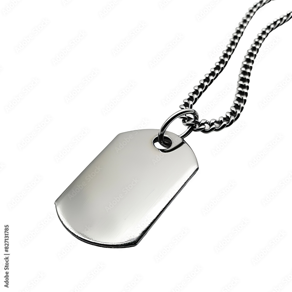 Fototapeta premium Military Dog Tag Necklace with Silver Chain