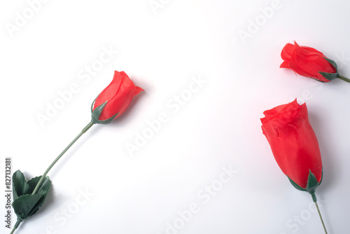 Red rose isolated on white background with copy space.